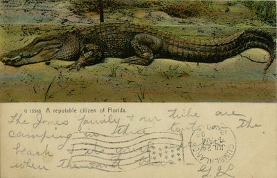 Postcard: A reputable citizen of Florida, Pablo Beach