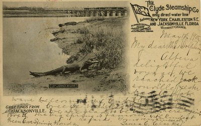 Postcard: The Clyde Steamship Co., Greetings from Jacksonville, Florida