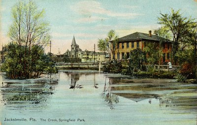 Postcard: The Springfield park, Jacksonville, Fla