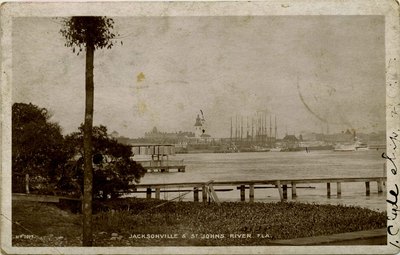 Postcard: Jacksonville and St. Johns River, Fla
