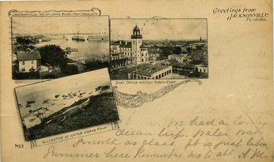 Postcard: Jacksonville and St. Johns River from Greeley's, Jacksonville, Florida