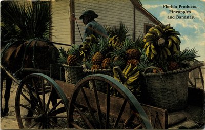 Postcard: Florida Products, Pineapples and Bananas, Jacksonville, Florida