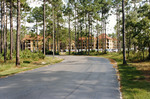 Osprey Village (5) by University of North Florida