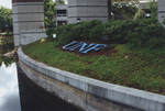 UNF Lettering in Landscaping