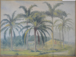 Palm Trees of Sarasota in 1935 by Paul Mays