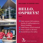 Hello Ospreys! Welcome to Spring 2021 by Thomas G. Carpenter Library
