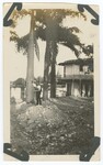 Man Leaning on Palm Tree