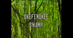 The Okefenokee Swamp by University of North Florida and Florida Community College at Jacksonville
