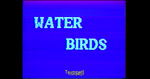 Water Birds by University of North Florida and Florida Community College at Jacksonville