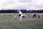 Ozzie the Osprey at Employee Family Day by University of North Florida