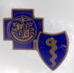 Blue Cross and Blue Shield Lapel Pin