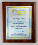 HandsOn Jacksonville/Blue Cross Blue Shield of Florida Sponsorship plaque by Hands On Jacksonville