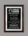 HandsOn Jacksonville/Florida Blue Sponsor Recognition by HandsOn Jacksonville