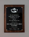 NFL Y.E.T. Leadership/Sponsorship plaque to Blue Cross and Blue Shield of Florida by NFL Y.E.T Leadership