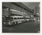 Charter Buses Waiting to Take Employees to Disney Land by Blue Cross of Florida, Inc. and Blue Shield of Florida, Inc.