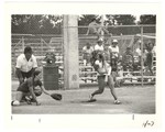 Company Softball Tournament by Blue Cross and Blue Shield of Florida, Inc.