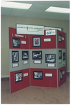 American Lung Display by Blue Cross and Blue Shield of Florida, Inc.
