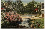 GCS--Falls, Spring and Pool. Green Cove Springs, Fla