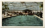 Swimming Pool, Green Cove Springs, Florida