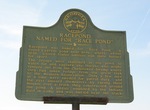 Racepond Named for "Race Pond" Marker, Charlton Co., GA