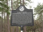 Treaty of Coleraine Marker, Camden Co., GA