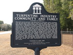 Turpentine Industry Marker (Obverse), Fairbanks, FL by George Lansing Taylor Jr.