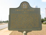 Twiggs County Marker, Jeffersonville, GA by George Lansing Taylor Jr.