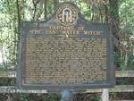 Capture of the USS "Water Witch" Marker, Vernonburg, GA by George Lansing Taylor Jr.