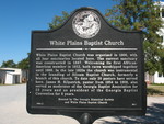 White Plains Baptist Marker, White Plains, GA