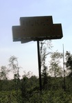Abandoned billboard Jesup, GA by George Lansing Taylor Jr.