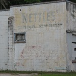 Nettles Food Store sign Crescent City, FL by George Lansing Taylor Jr.
