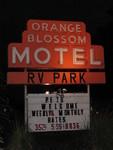 Orange Blossom Motel/RV Park neon sign Citra, FL
