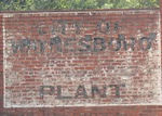 City of Waynesboro Plant sign Waynesboro, GA by George Lansing Taylor Jr.