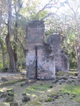 Bulow Plantation Ruins 2 Flagler Beach, FL by George Lansing Taylor Jr.