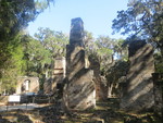 Bulow Plantation Ruins 11 Flagler Beach, FL by George Lansing Taylor Jr.