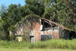 Abandoned building 1A Alachua County, FL by George Lansing Taylor Jr.