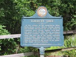 Torreya Tree Marker Torreya SP Liberty Co, FL