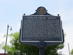 Poplar Head Spring Marker, Dothan, AL by George Lansing Taylor, Jr.