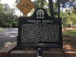 Timucua People Marker (F-1002) Gainesville, FL by George Lansing Taylor, Jr.