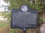 Battle of the Blankets Marker Worth County, GA by George Lansing Taylor, Jr.