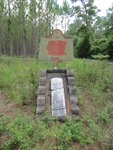 Site Franklinville Marker and Stone Lowndes County, GA by George Lansing Taylor, Jr.