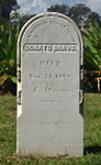 Grave of Donato Bravo by James Dwight Davis