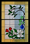 Magnolia and Rose Window by James Dwight Davis