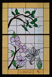 Lily Flower Window by James Dwight Davis