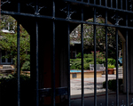 Iron Fence in front of the Garden Cloister by James Dwight Davis