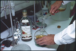 Bacardi Rum Plant - Castleton Beverage 12