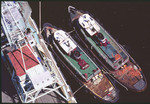MARINE: Tug Boats - 7 by Lawrence V. Smith