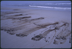 Oil Spill, Jacksonville Beach - 1 by Lawrence V. Smith