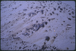 Oil Spill, Jacksonville Beach - 2 by Lawrence V. Smith