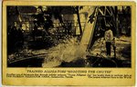 Postcard: "Trained Alligators Shooting the Chutes" Alligator Farm Jacksonville, Florida